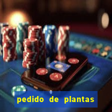 pedido de plantas stardew valley onde entregar