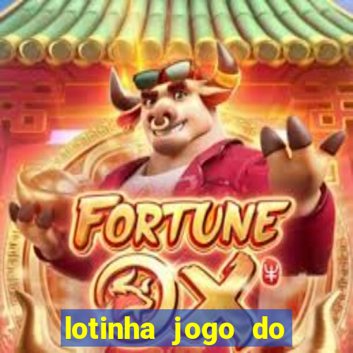 lotinha jogo do bicho como funciona