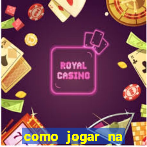 como jogar na lotinha do jogo do bicho