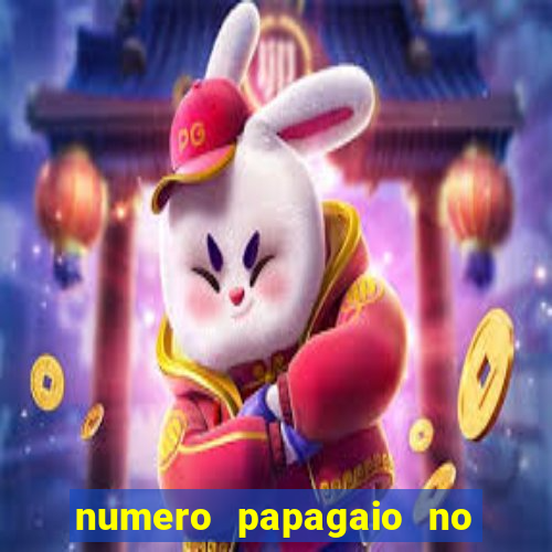 numero papagaio no jogo do bicho