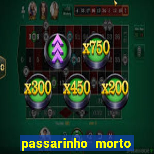 passarinho morto significado espiritual