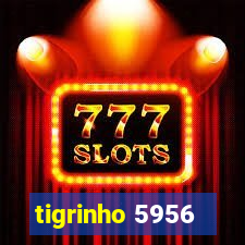 tigrinho 5956