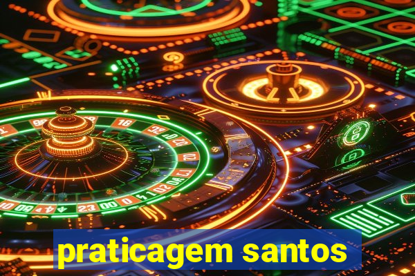 praticagem santos