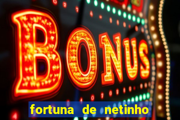 fortuna de netinho de paula