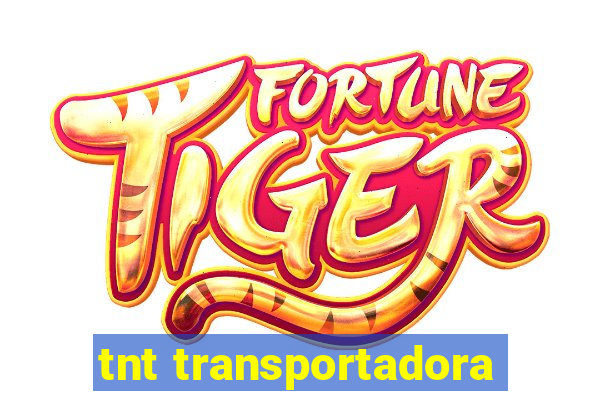 tnt transportadora