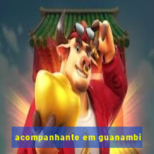 acompanhante em guanambi