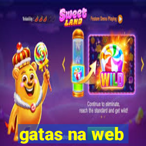 gatas na web