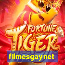 filmesgaynet